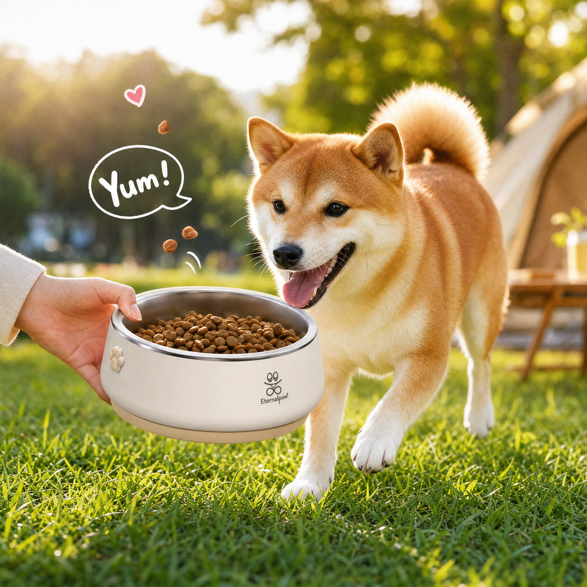 Outdoor Eternalpaw pet bowl feeding scene
