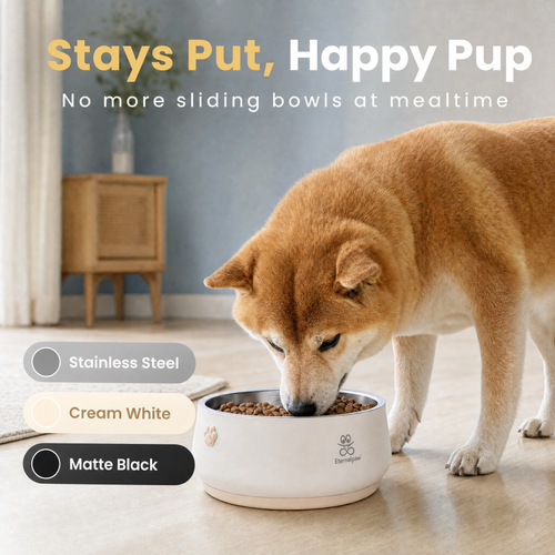 Dog using Eternalpaw pet bowl indoors