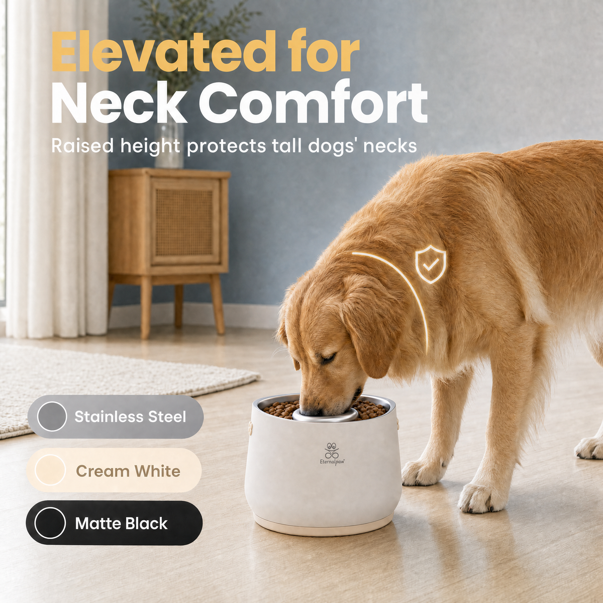 Warm pet feeding scene