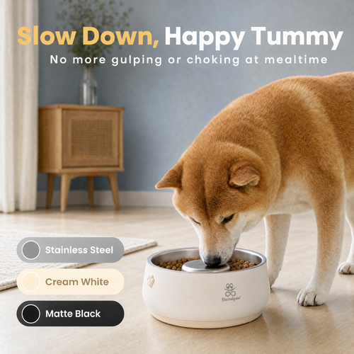 Dog using Eternalpaw slow feeder bowl indoors